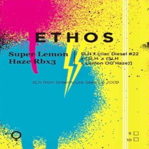 Ethos – Super Lemon Haze Rbx3 (Feminized)