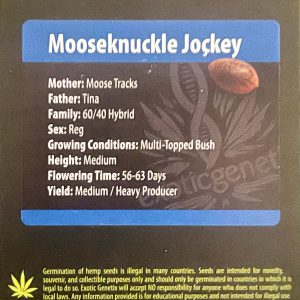 Exotic Genetix – Mooseknuckle Jockey (Regular M/F)