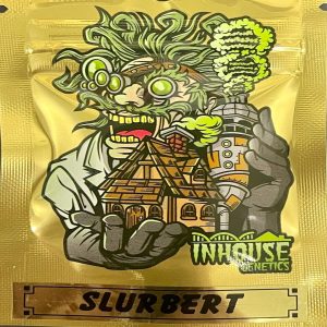 In House Genetics – Slurbert (Gold Pack) (Feminized)