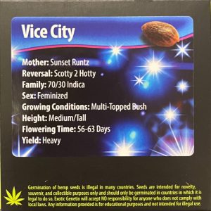 Exotic Genetix – Vice City (Feminized)