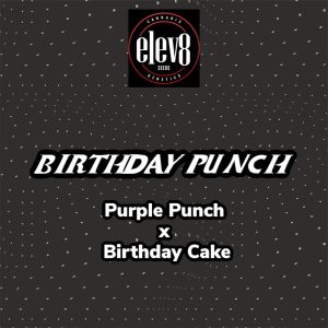 Elev8 Seeds – Birthday Punch (Retired) (Feminized)