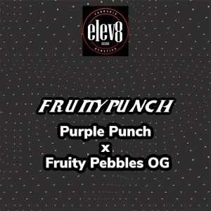 Elev8 Seeds – Fruity Punch (Retired) (Feminized)