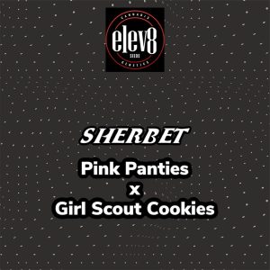 Elev8 Seeds – Sherbet (Retired) (Feminized)
