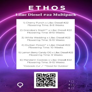 Ethos – Lilac Diesel #22 Multipack (Feminized)