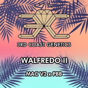 3rd Coast Genetics – Walfredo II (Regular M/F)