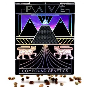 Compound Genetics – Blue Pave (Feminized)