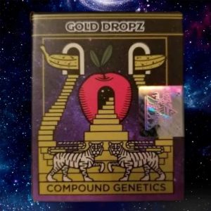 Compound Genetics – Gold Dropz (Feminized)
