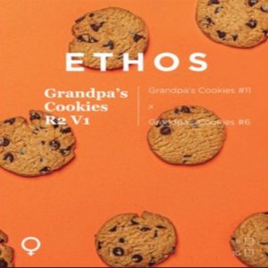 Ethos – Grandpa’s Cookies R2 V1 (Feminized)