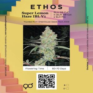 Ethos – Super Lemon Haze IBL V1 (Regular M/F)