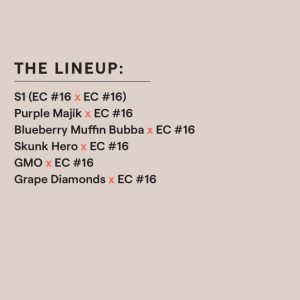 Ethos – Ethos Cookies #16 “The Krux” Multipack (Feminized) - Image 2