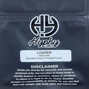 Hyphy Genetics – Loafer (Feminized)