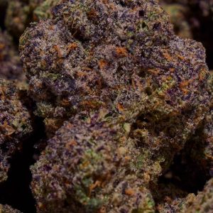 Seed Junky – Permanent Marker (Doja Collab) (Feminized) - Image 2