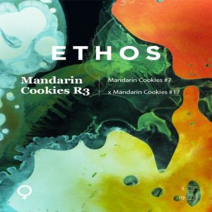 Ethos – Mandarin Cookies R3 (Feminized)