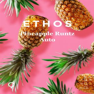 Ethos – Pineapple Runtz Auto (Feminized) (Autoflower)