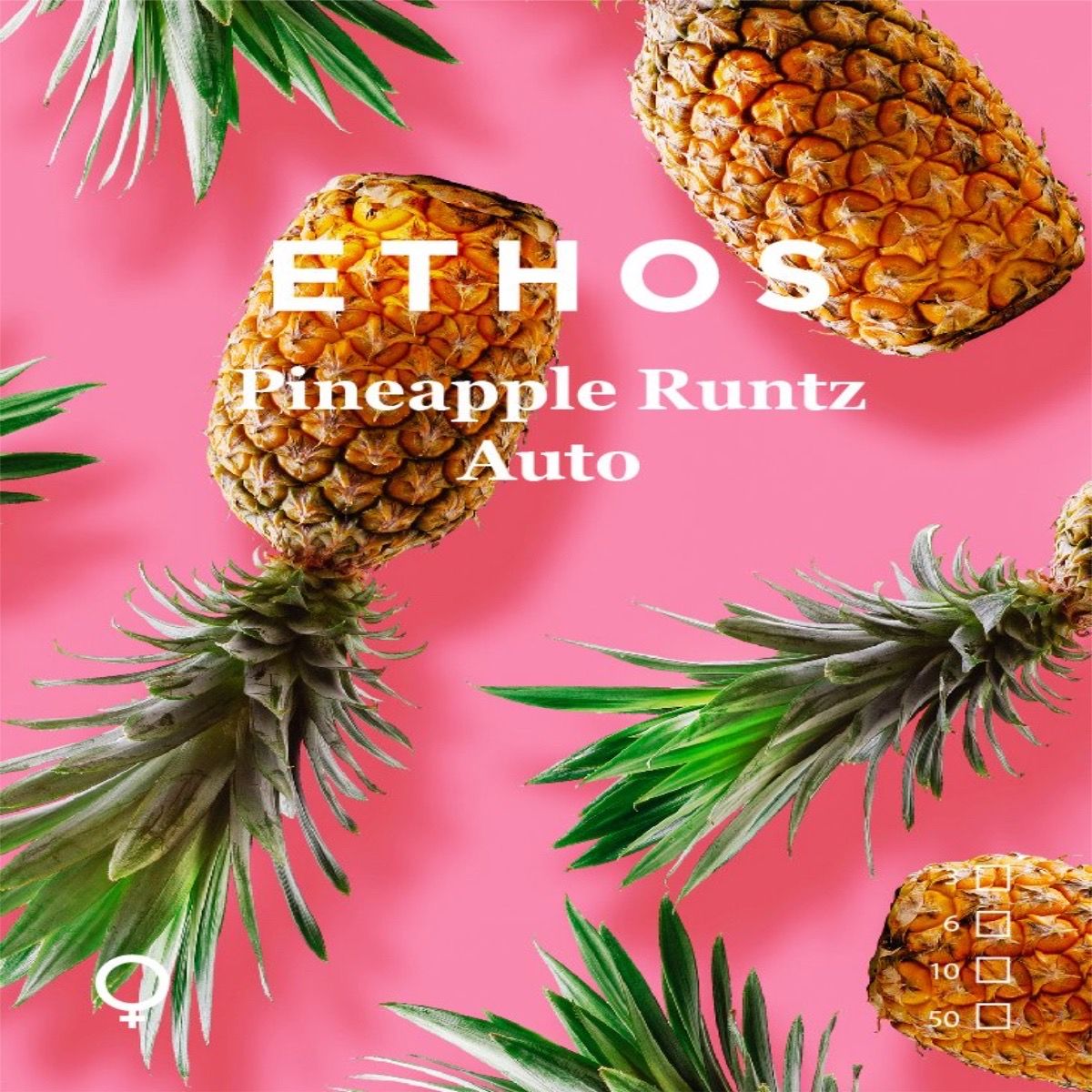 Ethos – Pineapple Runtz Auto (Feminized) (Autoflower)