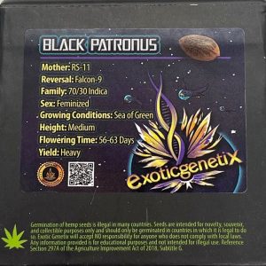 Exotic Genetix – Black Patronus (Feminized)