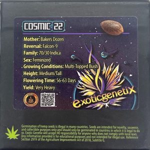 Exotic Genetix – Cosmic 22 (Feminized)
