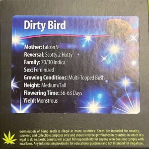 Exotic Genetix – Dirty Bird (Feminized)
