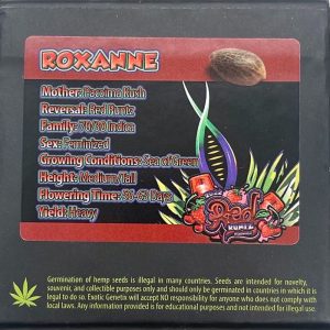 Exotic Genetix – Roxanne (Feminized)