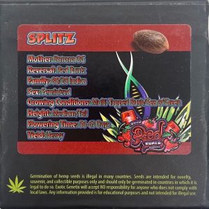 Exotic Genetix – Splitz (Feminized)