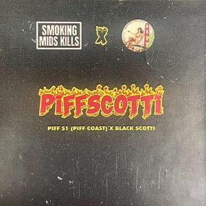 Bay Area  Seeds – Piffscotti (Regular M/F)