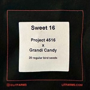 LIT Farms – Sweet 16  (Regular M/F)