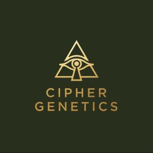 Cipher Genetics – 100 Racks (Feminized)