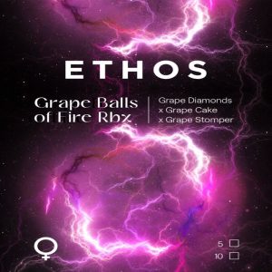 Ethos – Grape Balls Of Fire RBx (Feminized)