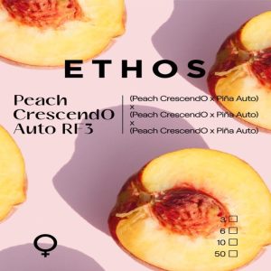 Ethos – Peach Crescendo Auto RF3 (Feminized) (Autoflower)