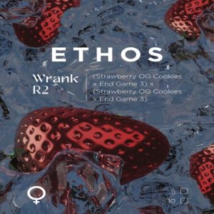 Ethos – Wrank R2 (Feminized)