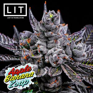 LIT Farms – Apple Banana Zoap (Feminized)