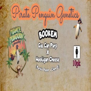 Pirate Penguin Genetics – Bookem (Feminized)