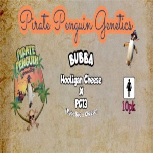 Pirate Penguin Genetics – Bubba (Feminized)