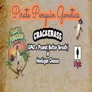 Pirate Penguin Genetics – Crackerass (Feminized)