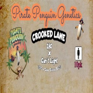 Pirate Penguin Genetics – Crooked Lane (Feminized)