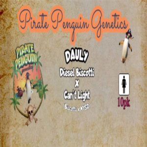 Pirate Penguin Genetics – Dauly (Feminized)