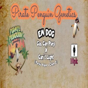 Pirate Penguin Genetics – Em Dog (Feminized)