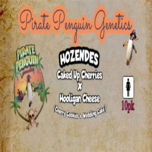 Pirate Penguin Genetics – Hozendes (Feminized)