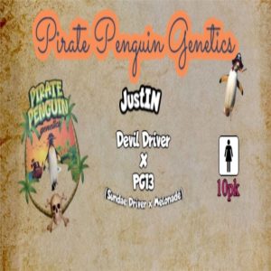 Pirate Penguin Genetics – JustIN (Feminized)