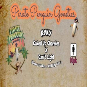 Pirate Penguin Genetics – KyKy (Feminized)