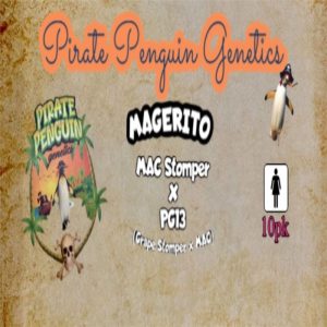 Pirate Penguin Genetics – Magerito (Feminized)