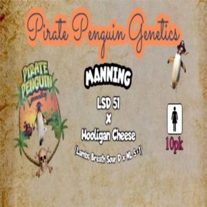 Pirate Penguin Genetics – Manning (Feminized)