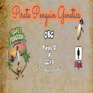 Pirate Penguin Genetics – OBG (Feminized)