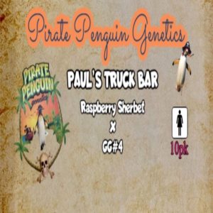 Pirate Penguin Genetics – Paul’s Truck Bar (Feminized)