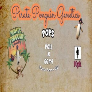 Pirate Penguin Genetics – Pops (Feminized)