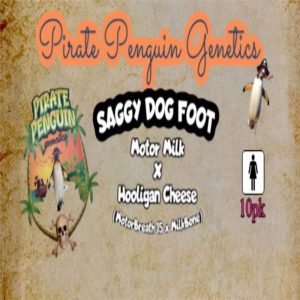 Pirate Penguin Genetics – Saggy Dog Foot (Feminized)