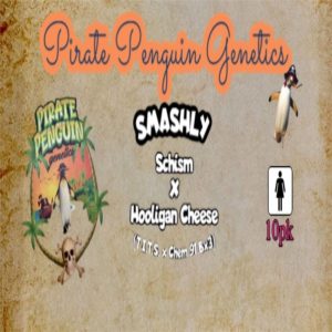 Pirate Penguin Genetics – Smashly (Feminized)