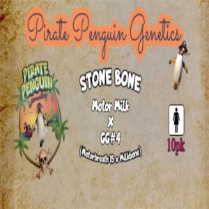 Pirate Penguin Genetics – Stone Bone (Feminized)