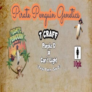 Pirate Penguin Genetics – T Craff (Feminized)