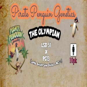 Pirate Penguin Genetics – The Olympian (Feminized)
